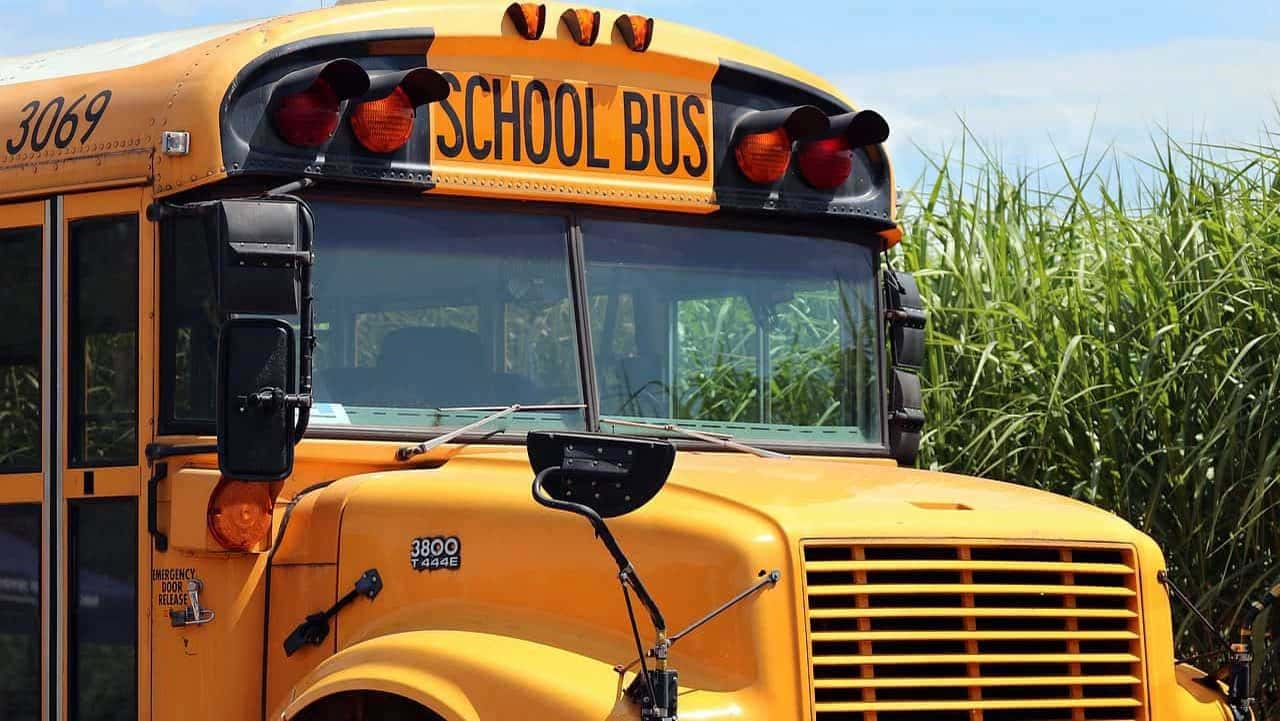 Image of School Bus